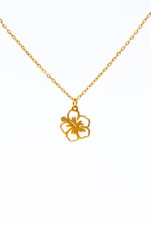 Jazmin Bogionne Golden Hibiscus