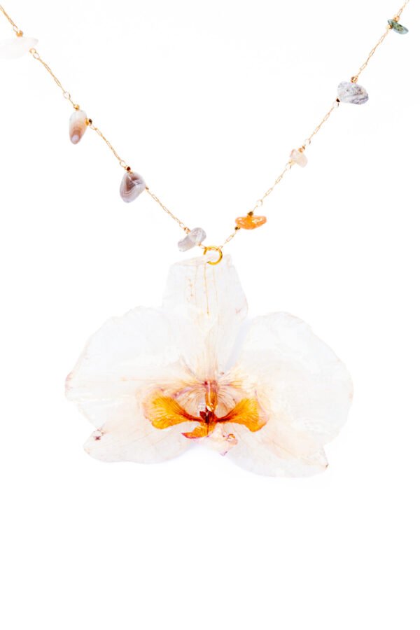 Jazmin Bogionne Beige