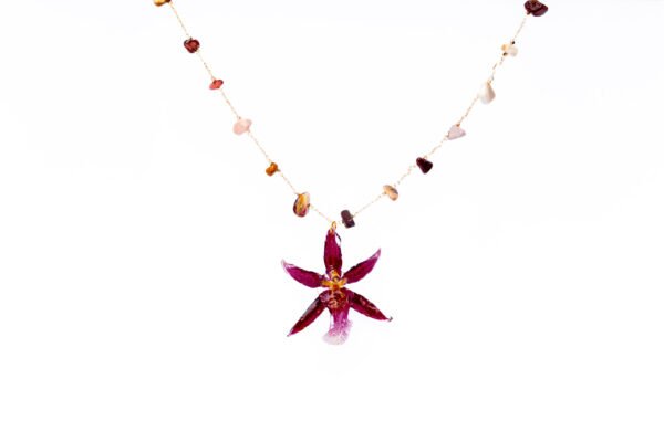 Jazmin Bogionne Orkidea