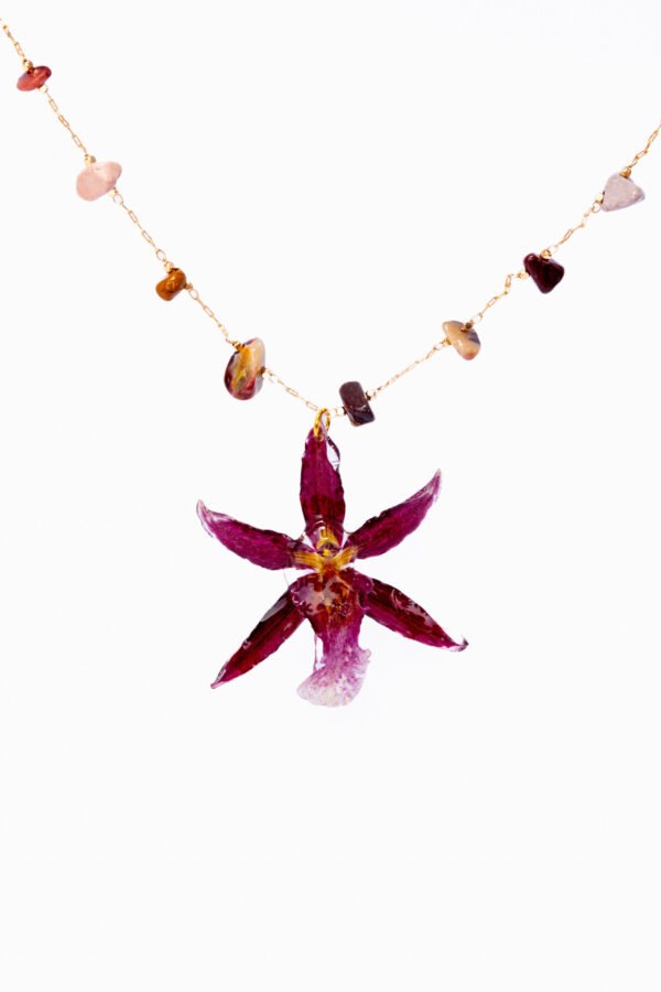 Jazmin Bogionne Orkidea