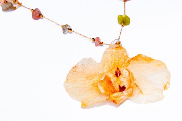 Jazmin Bogionne Forest