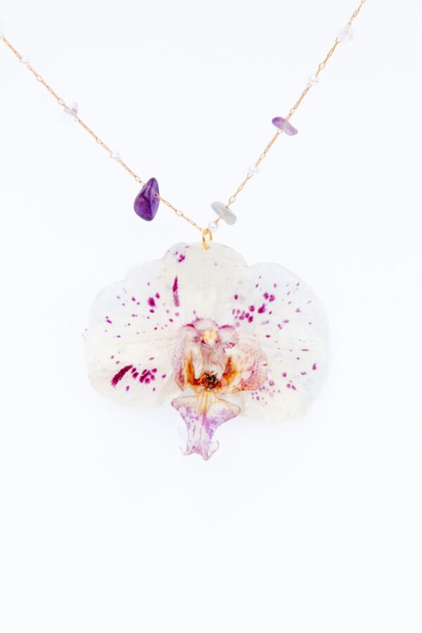 Jazmin Bogionne Morado