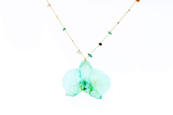 Jazmin Bogionne Turquoise II