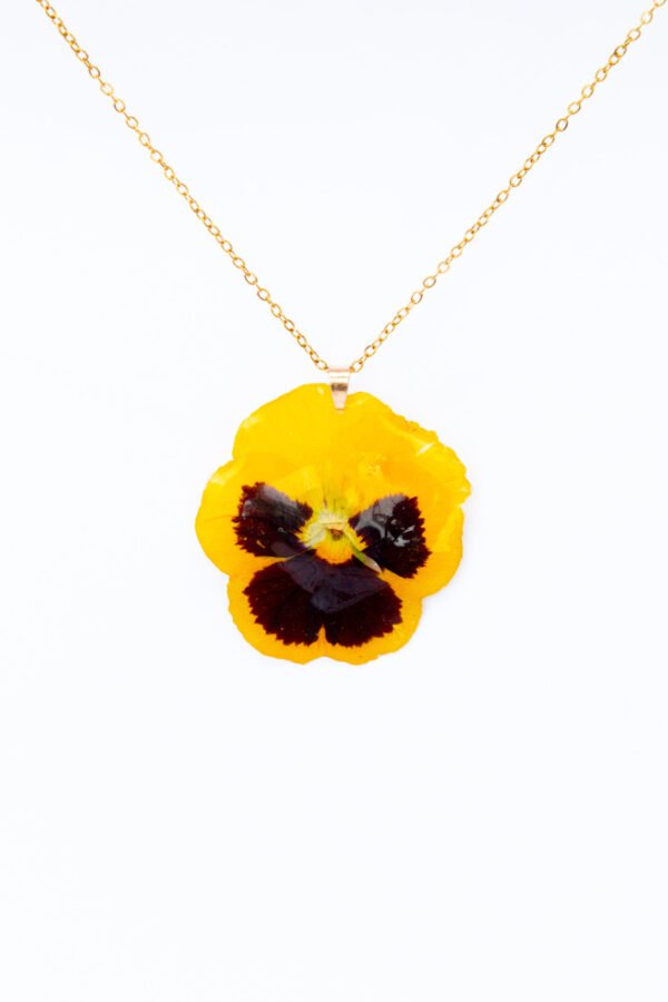 Jazmin Bogionne Yellow Pansie