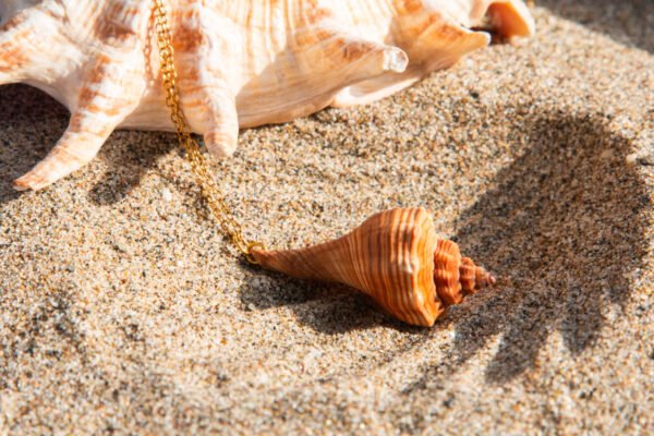 Jazmin Bogionne Maravía