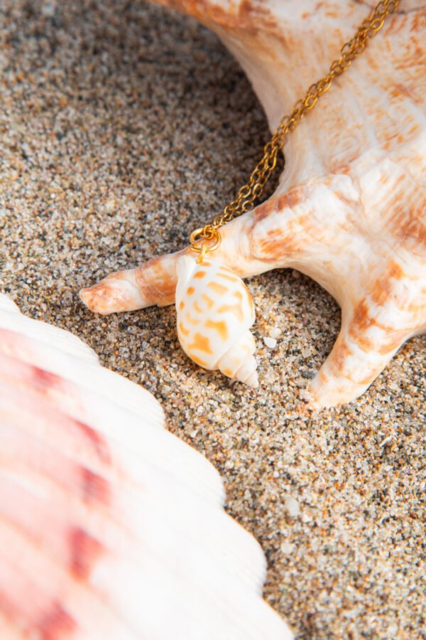 Jazmin Bogionne Coralía