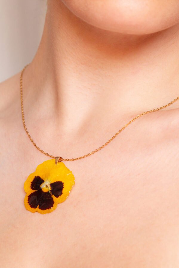 Jazmin Bogionne Yellow Pansie